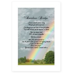 "Rainbow Bridge" by Trendy Decor 4U, Ready to Hang Framed Print, White Frame