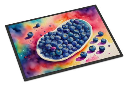 NEW Colorful Blueberries Doormat Front Door Mat Indoor Outdoor Rugs for Entryway, Non Slip Washable Low Pile, 18H X 27W