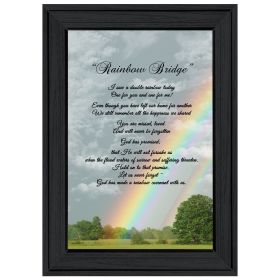 "Rainbow Bridge" by Trendy Decor 4U, Ready to Hang Framed Print, Black Frame