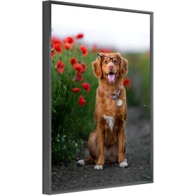 Custom Canvas Prints With Your Photos for Pet Family Photo Prints Personalized Canvas Aluminum Alloy Framed Wall Art (BLACK: 12*16)